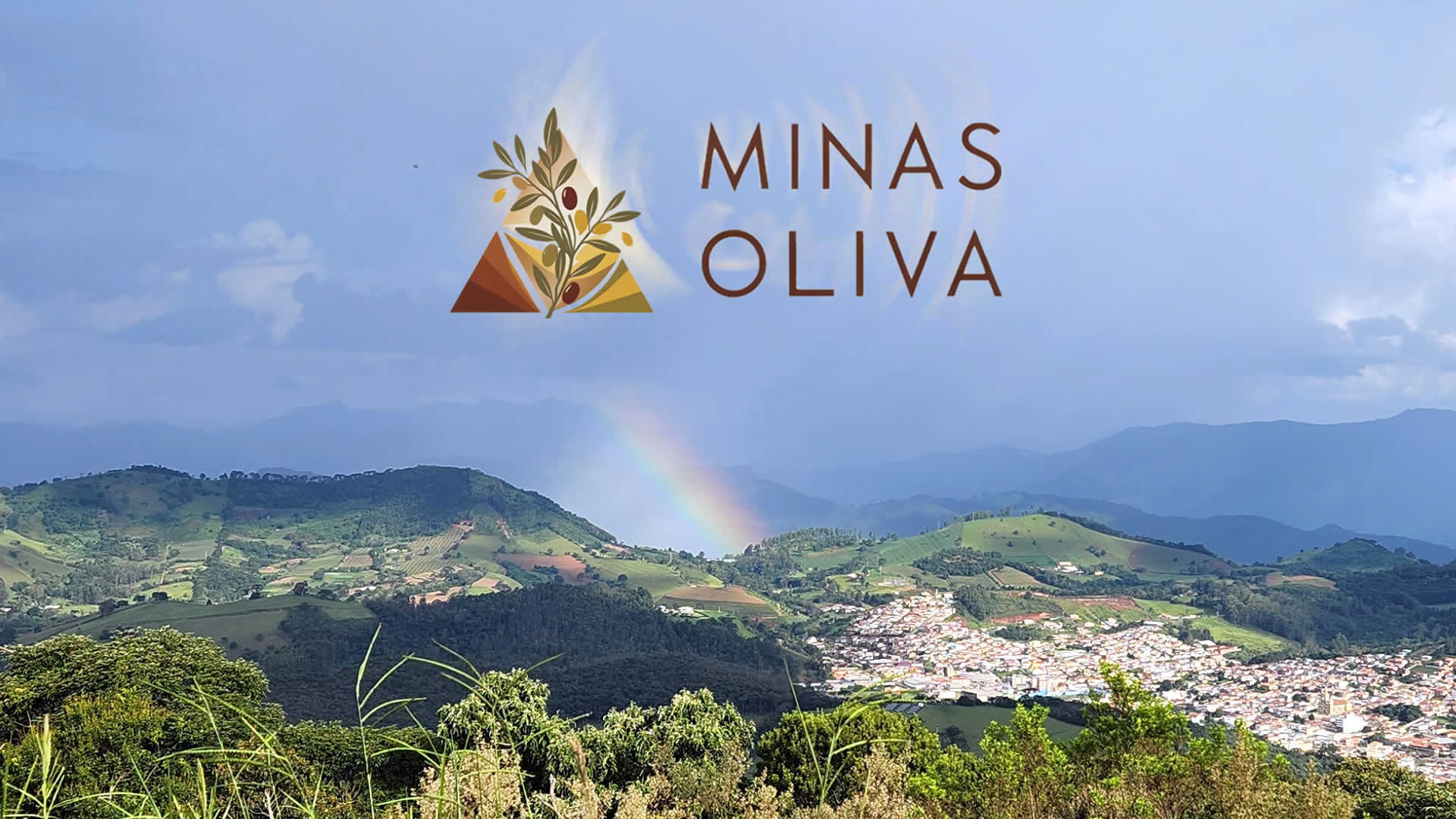 Minas Oliva